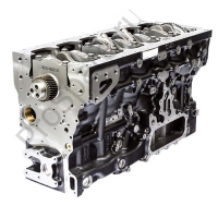 Короткий блок двигателя (T400455)