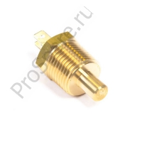 Датчик температуры охлаждающей жидкости (2755882)