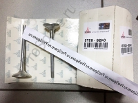 Выпускной клапан (04268373)