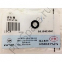 Кольцо уплотнительное клапанной крышки ISF 2.8 (5255316)