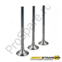 Клапан впускной TCD 2013 (04900685)